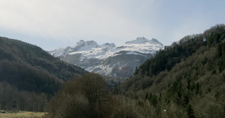 Forest filled with trees and snow covered mountains is displayed