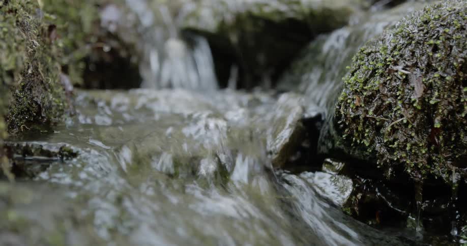 A small stream flows over moss covered rocks