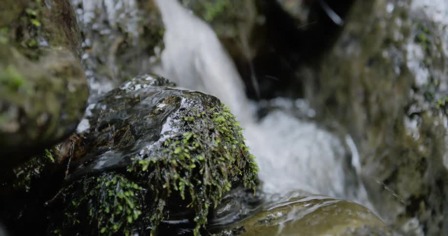 Water in a stream flows over rocks