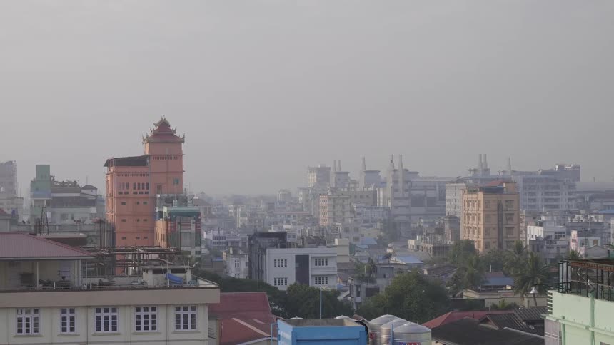 The buildings and rooftops of a city dotted with palm trees
