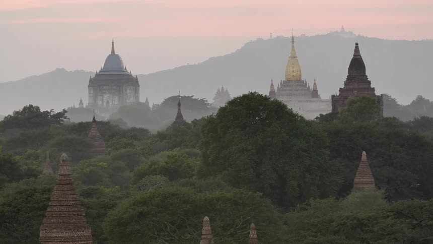 The spires of buildings sticking up through the foliage of trees into the foggy sky