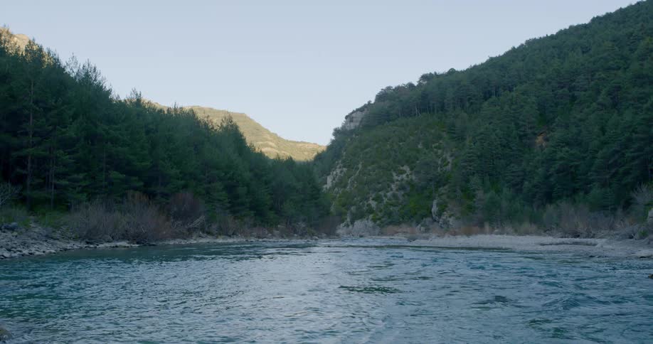 A static shot of a lake by a forest