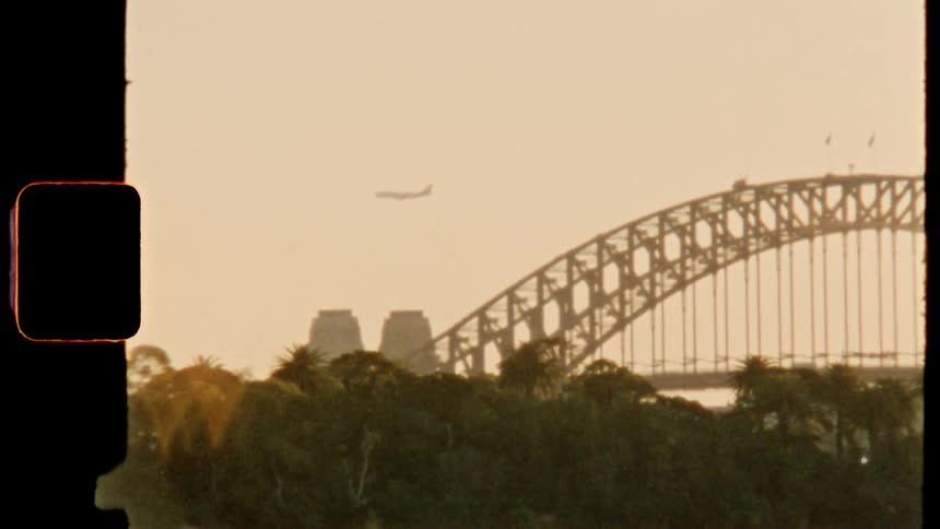 A bridge with trees in the foreground and a plane flying in the background