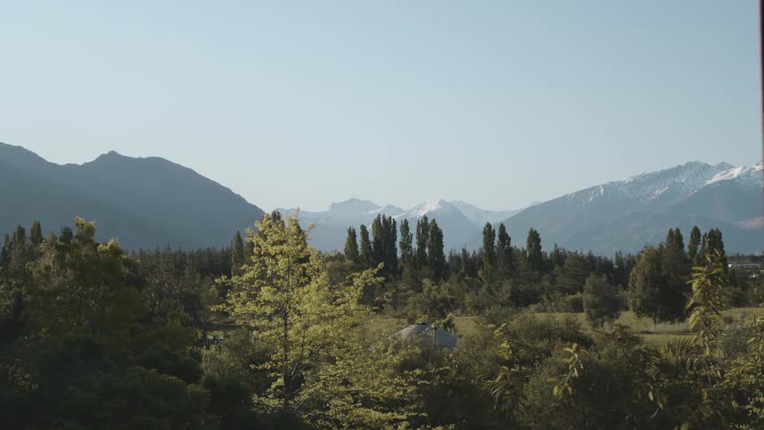 Trees and forest are displayed in the landscape
