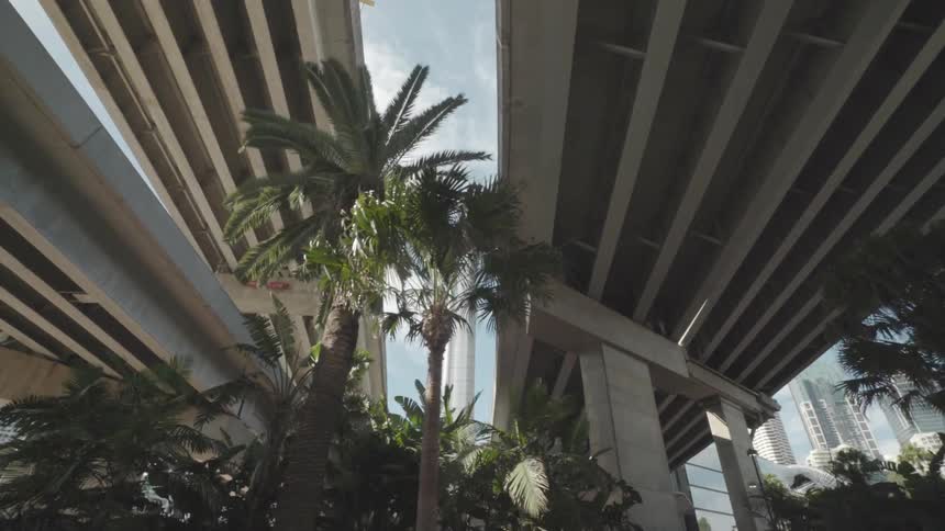 Palm trees under city transportation overpasses with skyscrapers behind on a sunny blue sky day