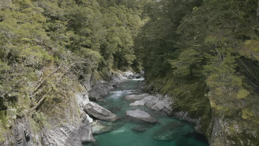 Static shot of a river in a forest