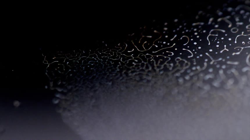 Black white and blue shapes moving like worms
