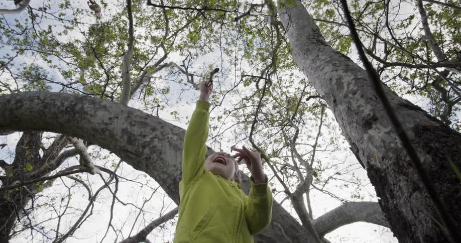 A child holding a stick into the air