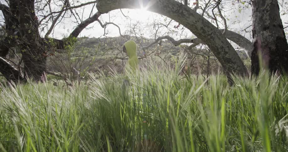 A young child in a yellow jacket walks through tall grass