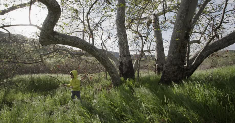 A boy holds and twirls a stick near a tree as the wind blows the tall grass