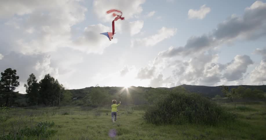 Little boy flying a kite in a field in the country on a sunny day