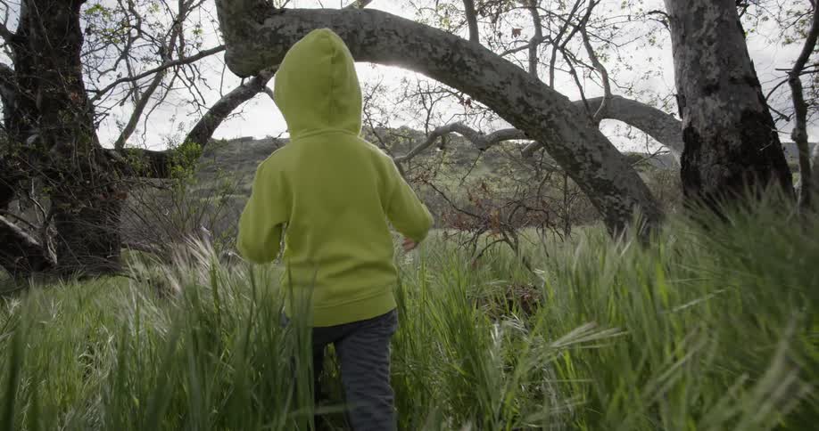 Child walking through a wheat field towards old trees