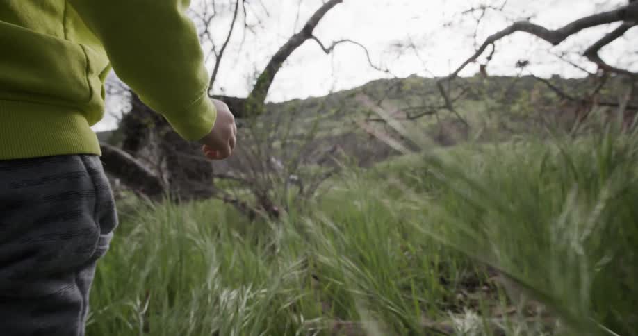 A person walking in a field