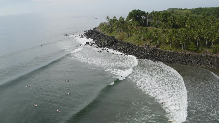 People surfing in the water