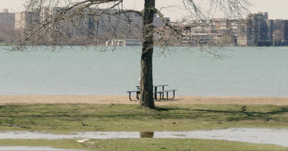 A person looking out at a city over a body of water while sitting at a picnic table at the shore