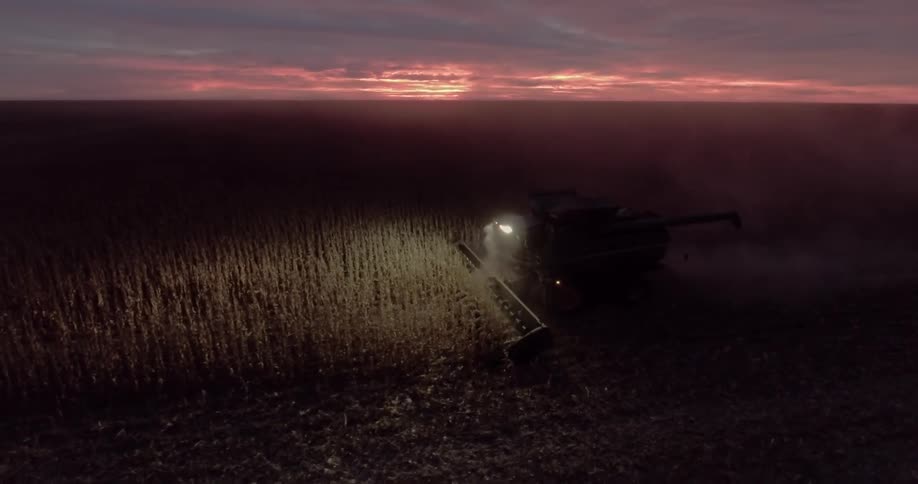 Combine harvester cutting the plant separating the seed from the stem and cleaning the grain moves across a cornfield at dusk