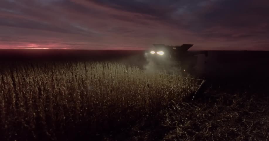 A tractor in a field of wheat