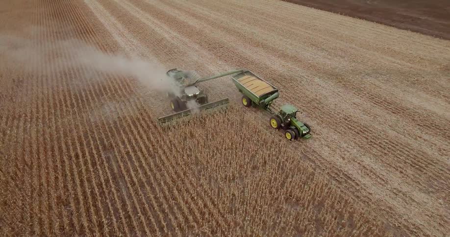 Aerial view of combine harvesting wheat field with tractor at day