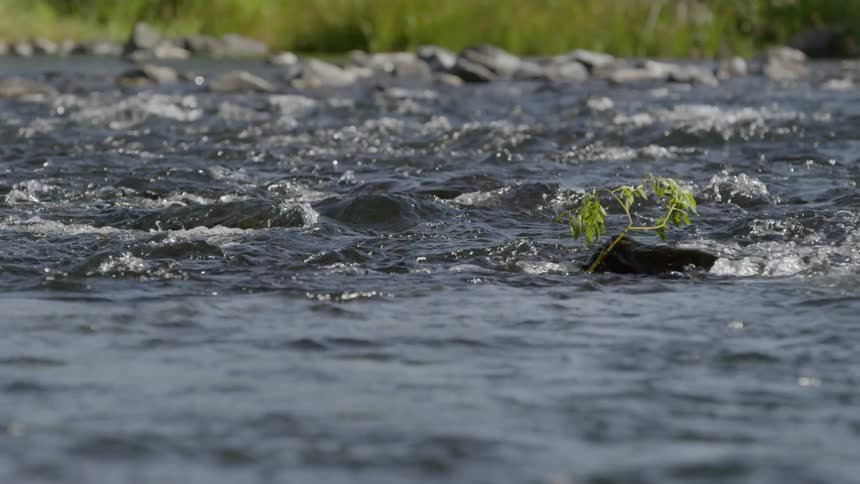Close up shot of water flowing down a stream