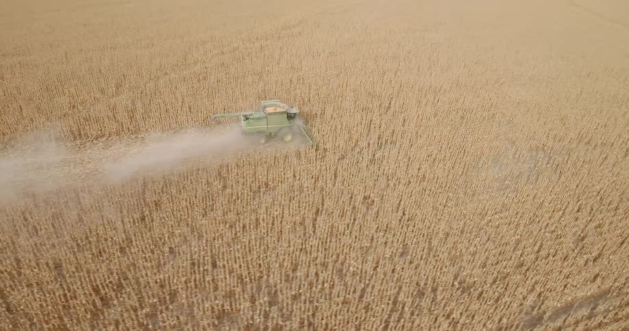 A harvester harvesting wheat in a field
