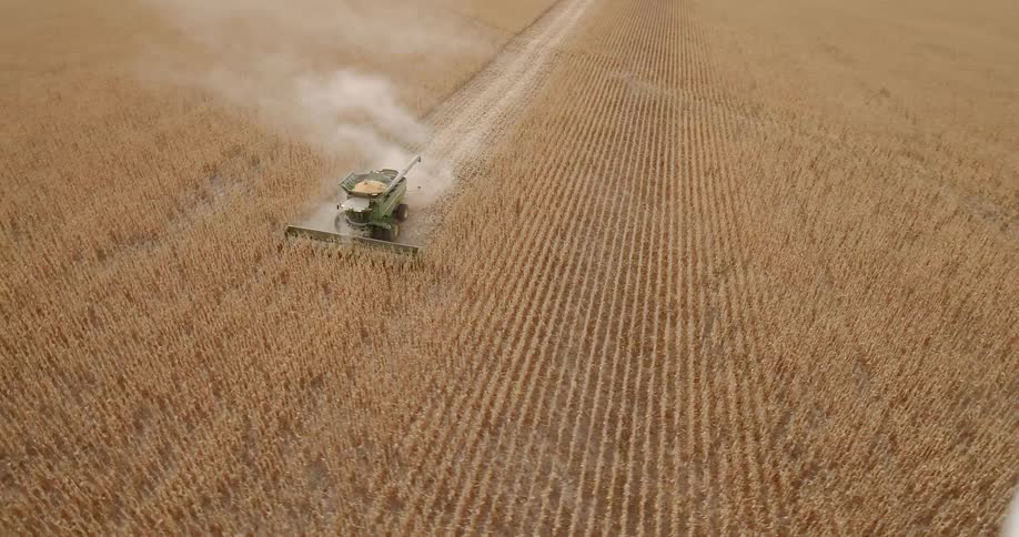 Aerial view of combine harvesting wheat field at day
