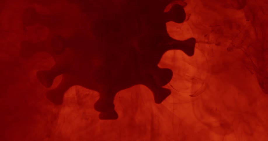 A coronavirus with multiple projections floating in a red blood stream