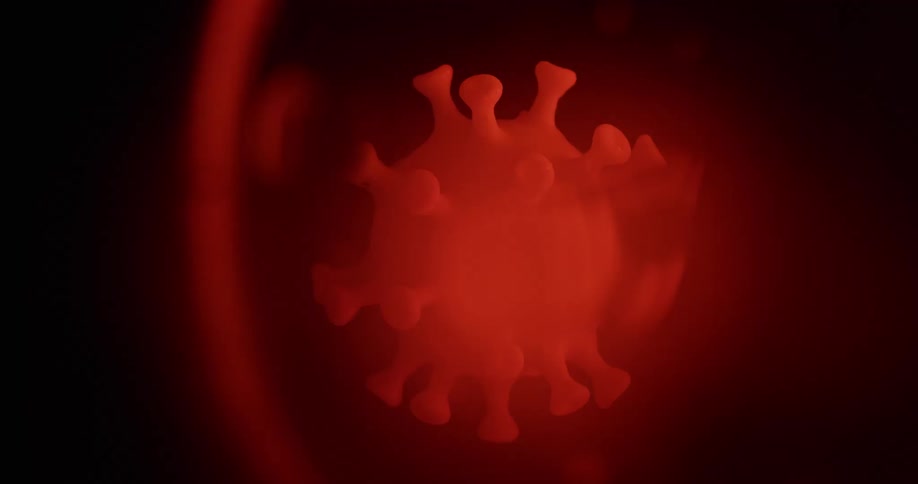 A red virus sits suspended in fluid