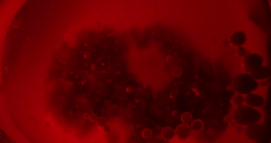 Red spheres grouped together float on the surface as the bubble vibrates and jiggles