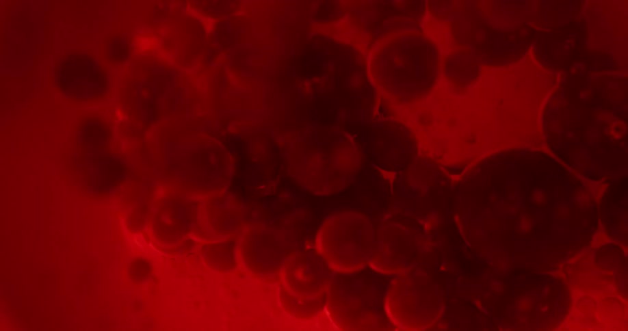 Red globules float in a red liquid
