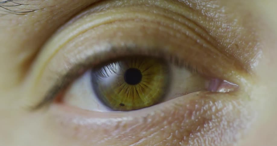 A close view of an eye