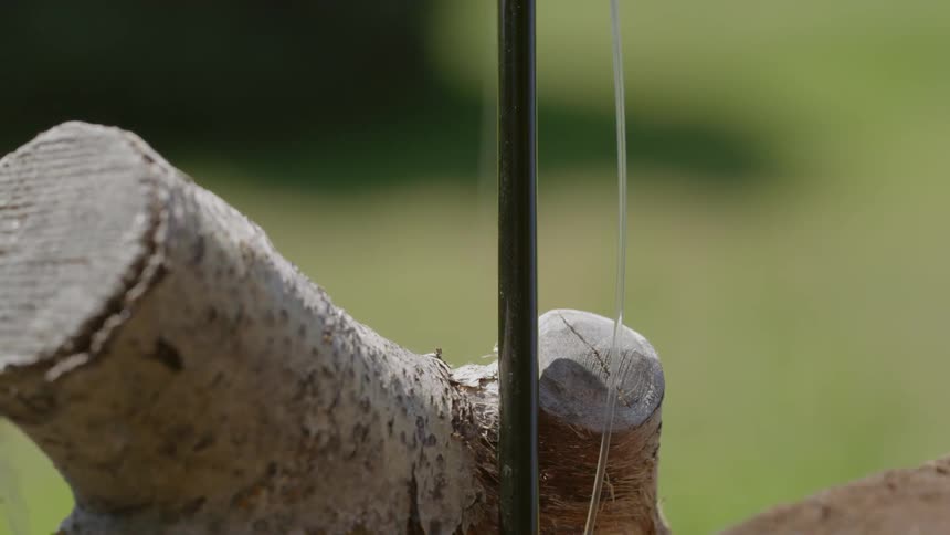 A fishing pole rests against a log