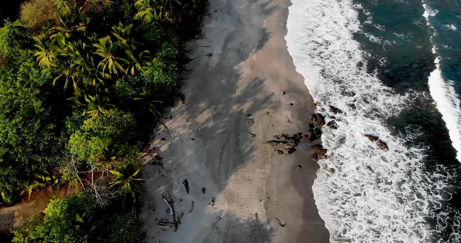 Waves rolling in to the shore