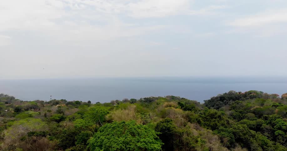 Homes built into the hills and trees along the coast