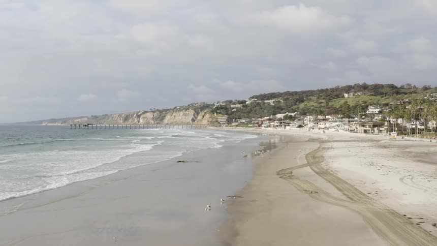 The birds fly over the sand on the shore