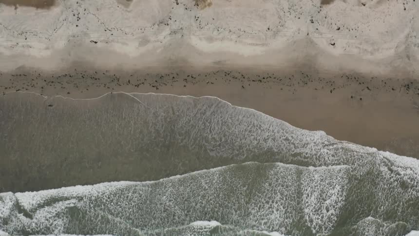 The waves splash to the shoreline