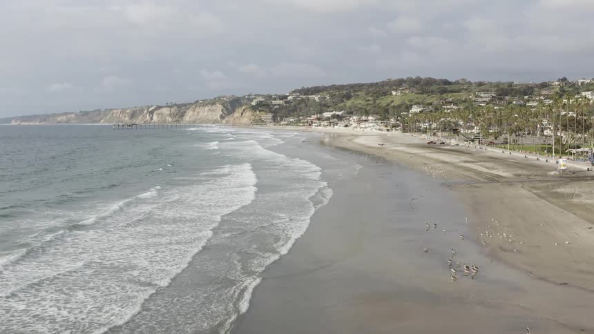 Seagulls stand and soar over an empty beach with hills and a coastal neighborhood behind