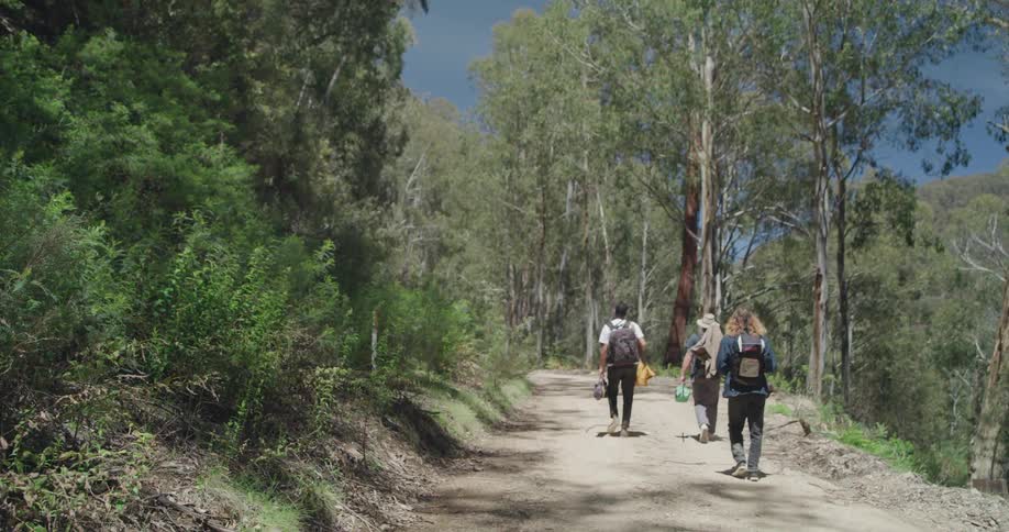 Three friends carrying camping gear and wearing backpacks walk on a dirt trail on a sunny day