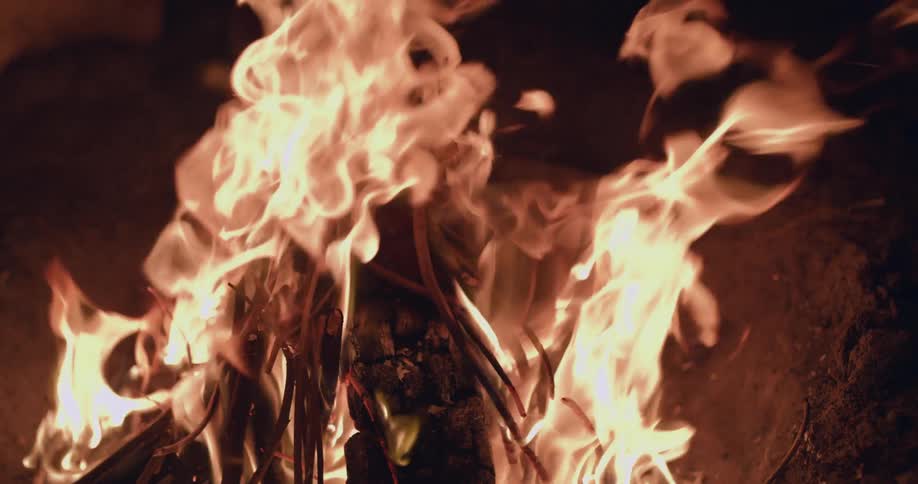 The flames lift over the logs