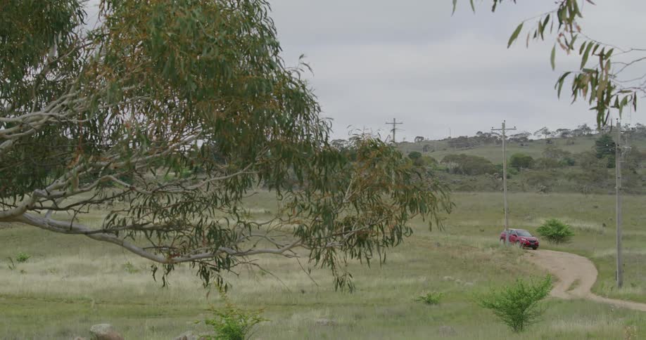 A red vehicle traveling along a dirt road through a grassland