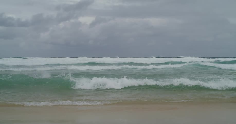 Static shot of an ocean with a seagull passing by