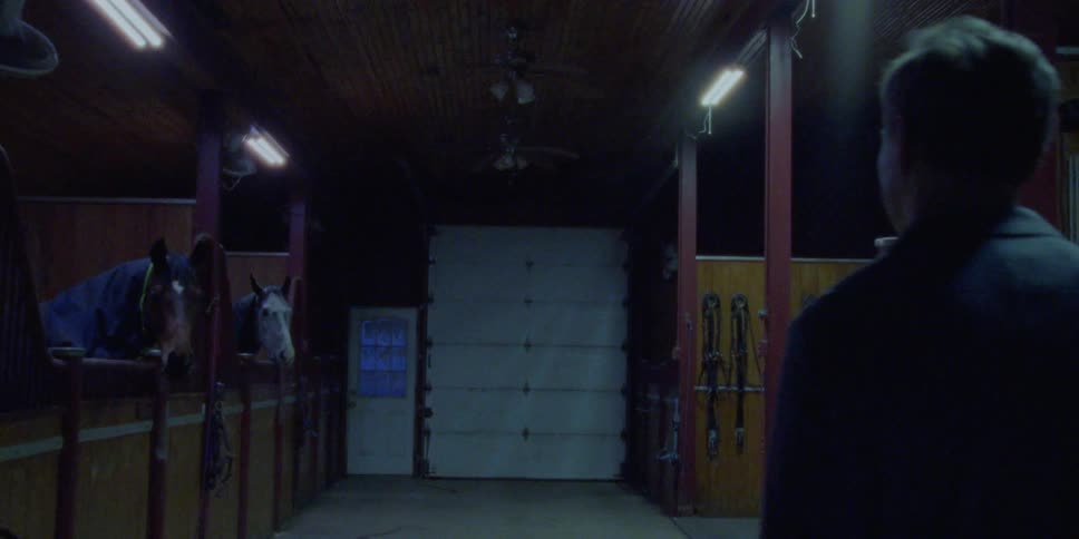 A man walks into a horse stable