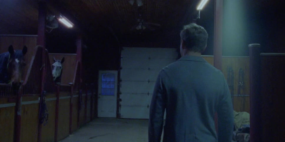 A man walks into a stable with two horses in stalls looking out and turns toward the tack room