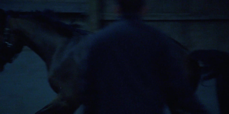 A horse runs inside a dark area