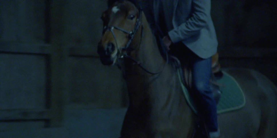 A man riding a horse