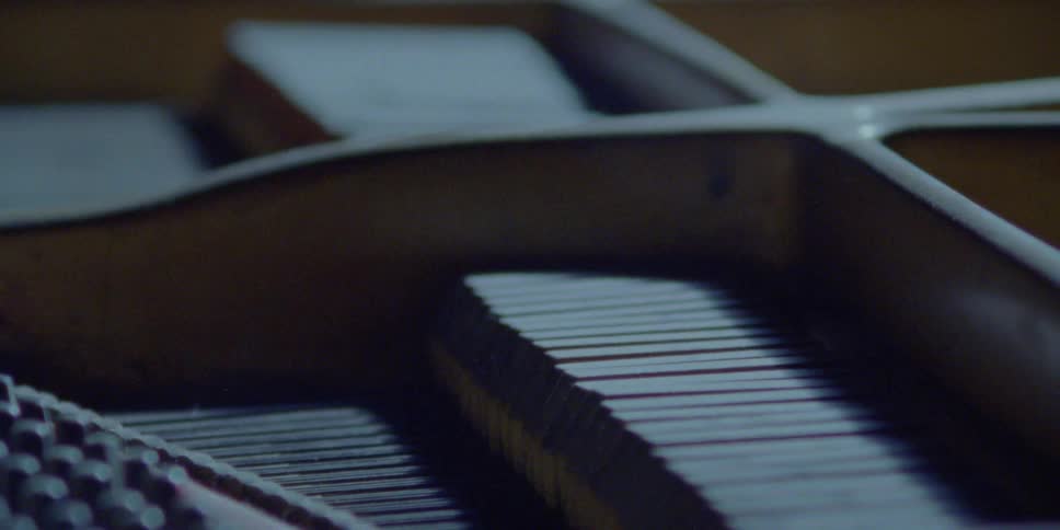 Inner workings of musical instrument move to create notes