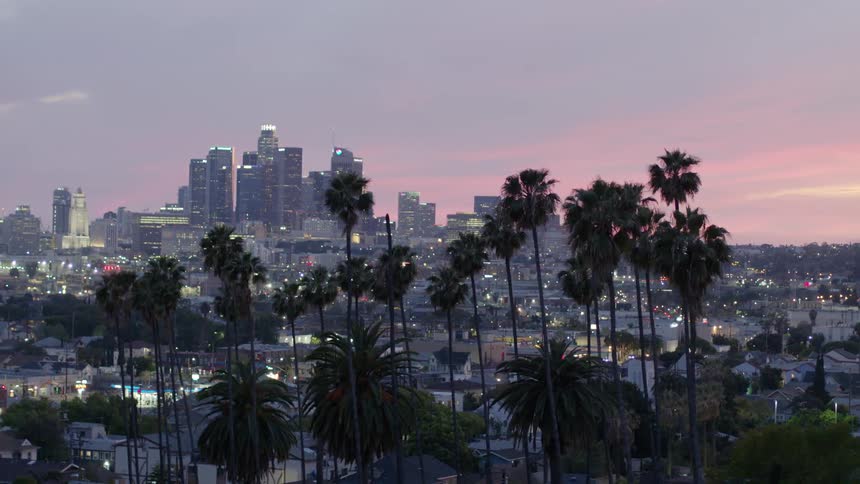 The lights of a city skyline and neighborhoods glow at sunset behind tall palm trees