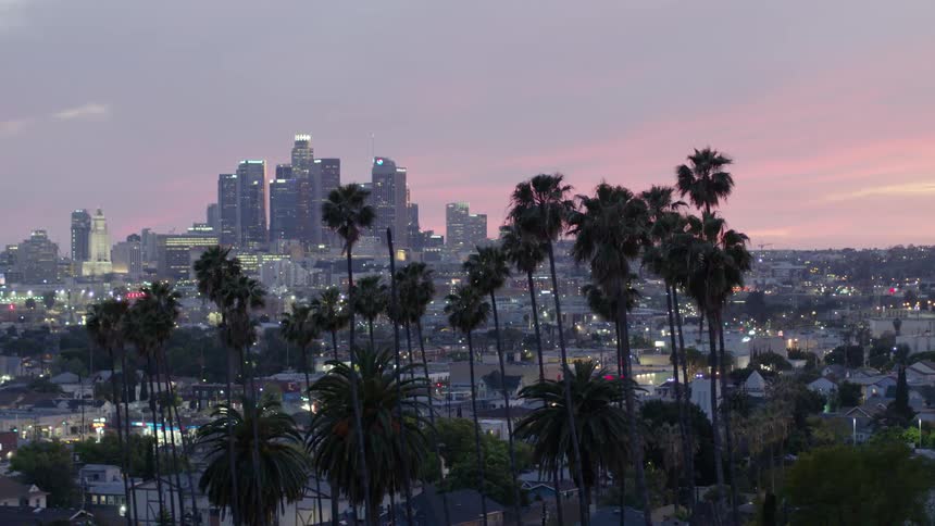 A city skyline is visible in the distance from a dense neighborhood at sunset