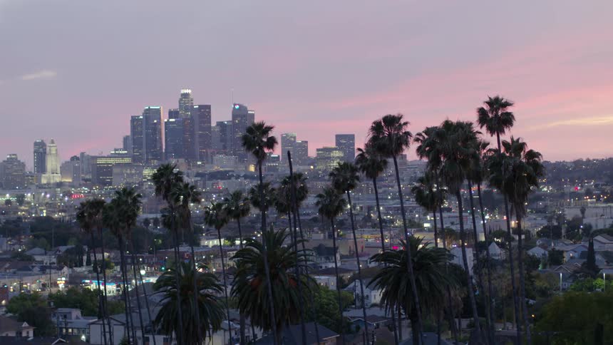 Palm trees stand tall with a city skyline and lights glowing at sunset