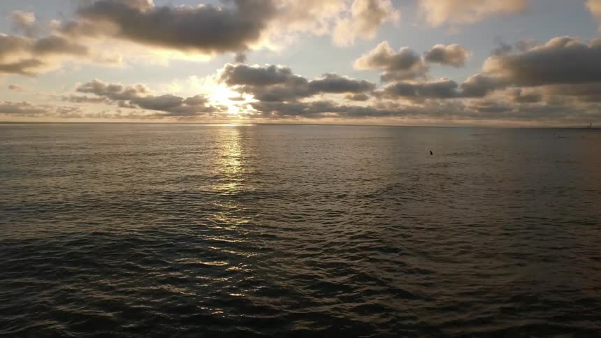 A surfer floats in the ocean as the tide comes in and the sun rises