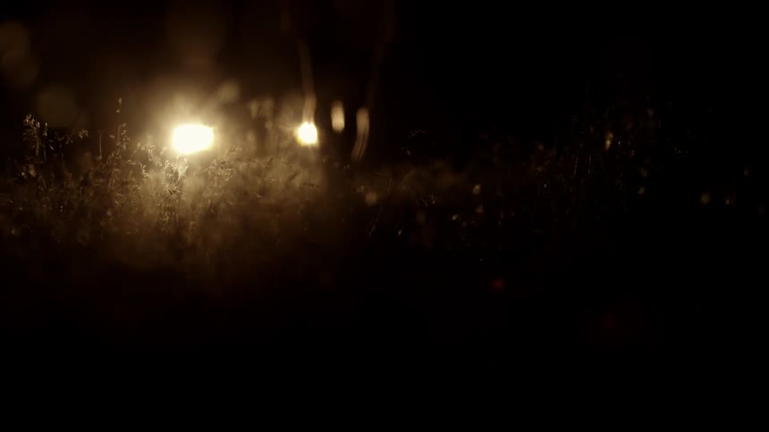 A person walks through grass towards a car's headlights